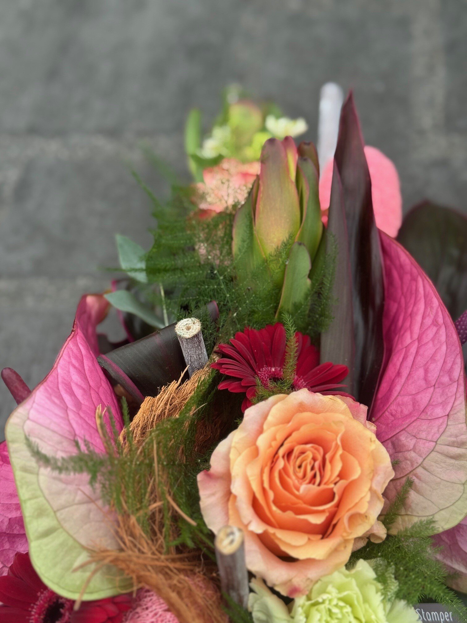 Allerheiligenvb 12: Graftak & Lila/roze tinten