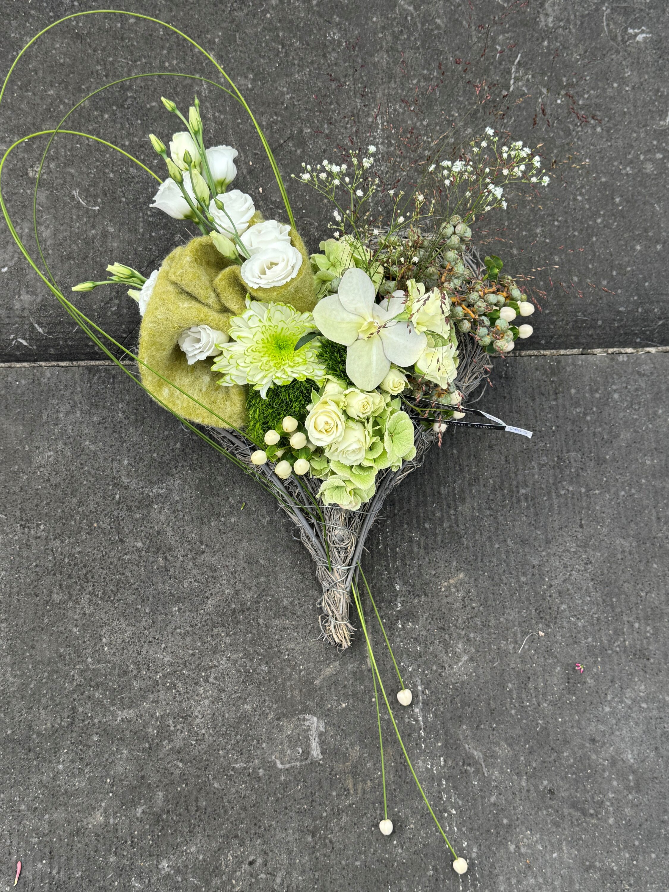 Allerheiligenvb 13: Rottan hart & wit/groen