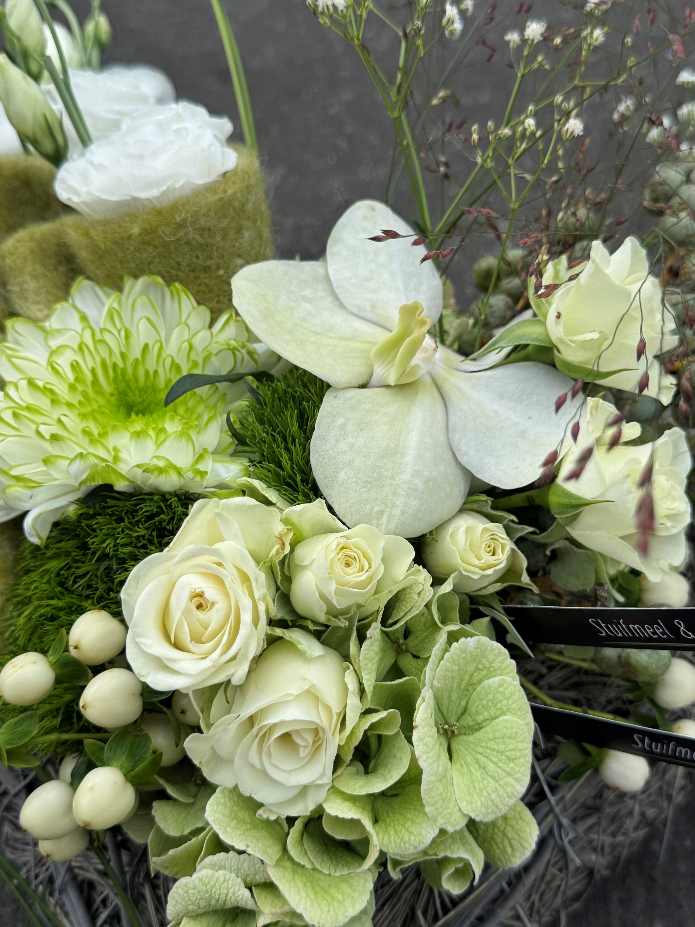 Allerheiligenvb 13: Rottan hart & wit/groen