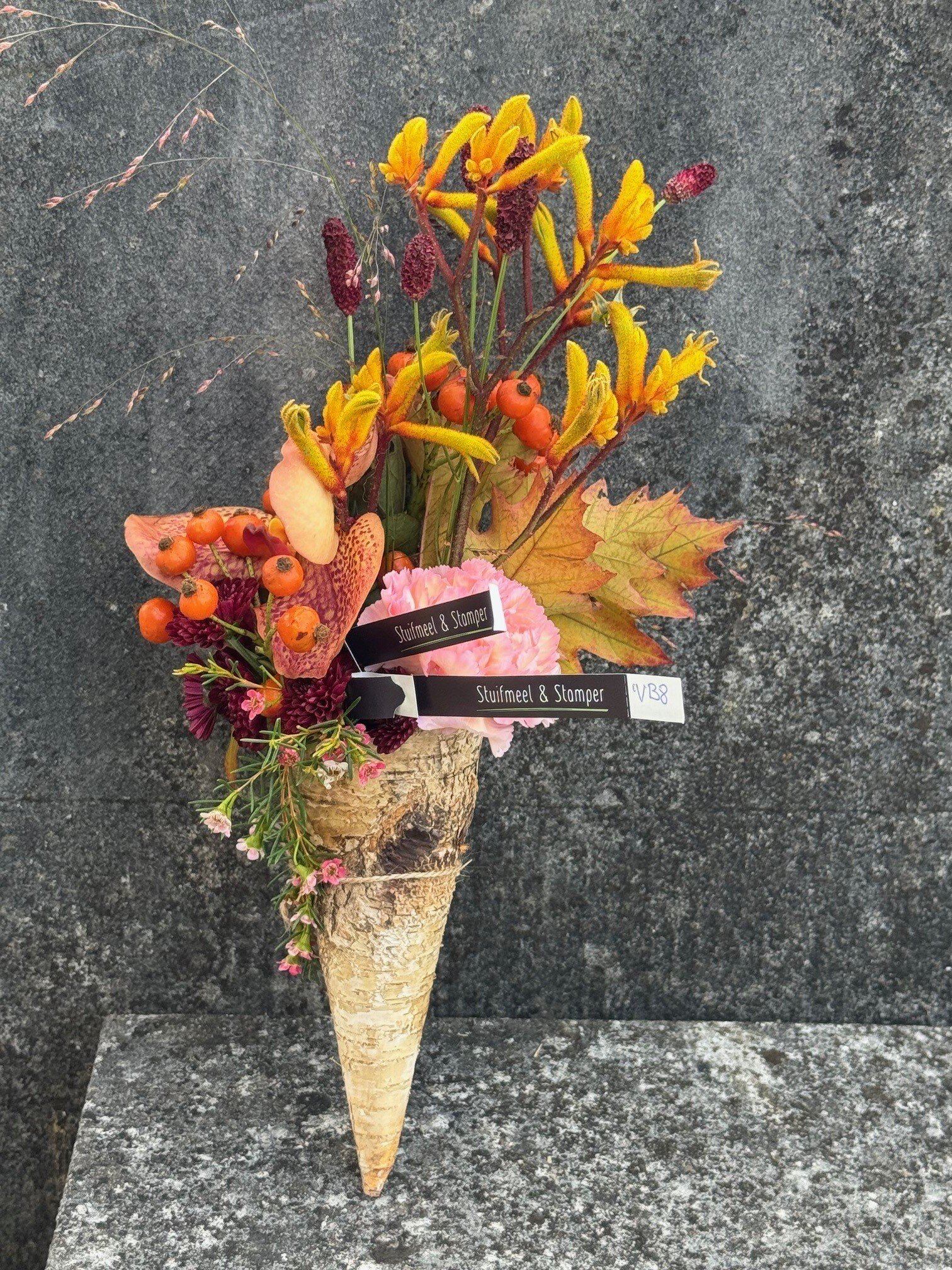 Allerheiligenvb 8: Hoorntje & herfst