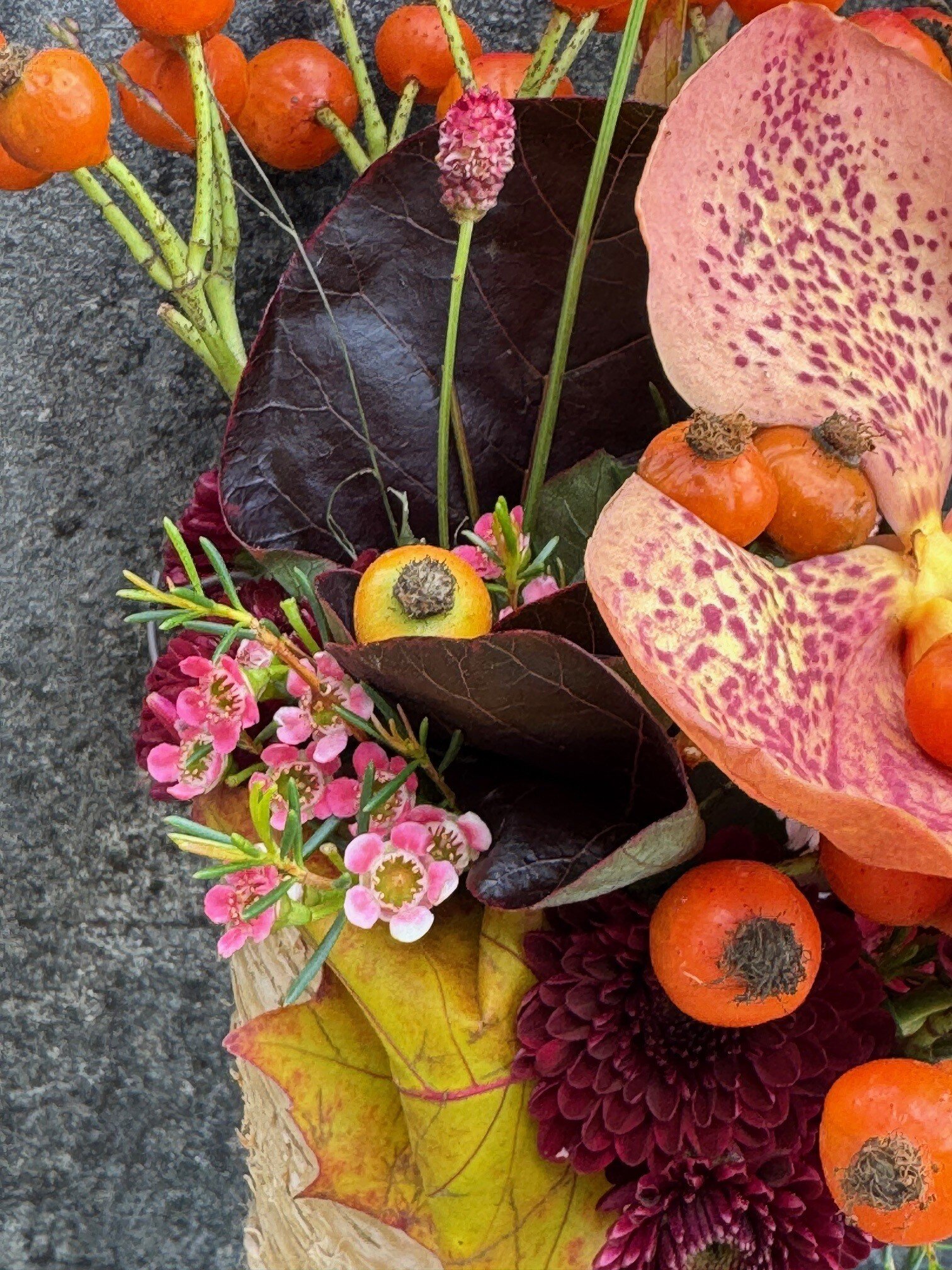 Allerheiligenvb 8: Hoorntje & herfst