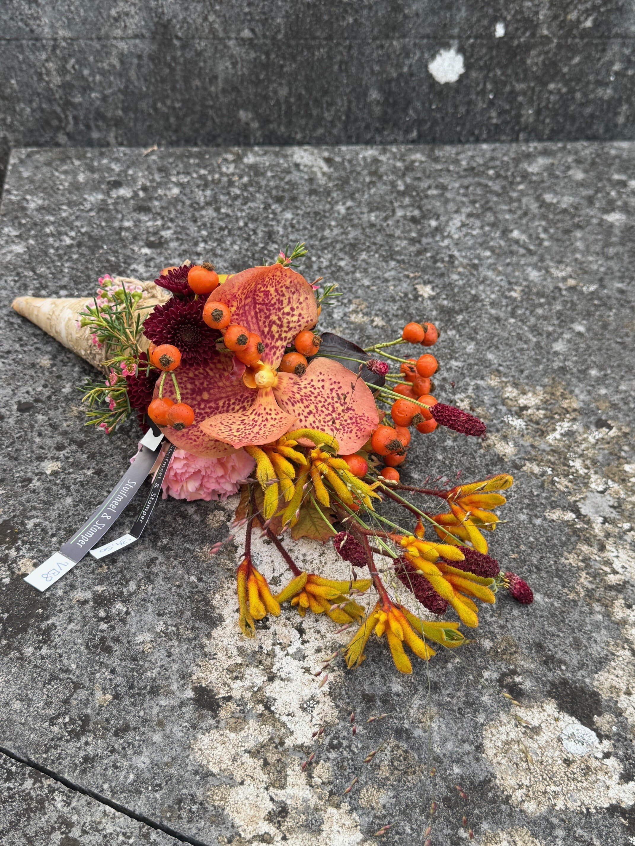 Allerheiligenvb 8: Hoorntje & herfst