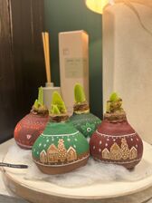 Handgeschilderde Amaryllis EXCLUSIEF BIJ S&S