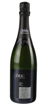 Cava Duc de Foix