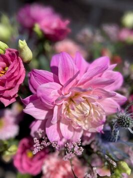 Gemengd boeket met Dahlia's