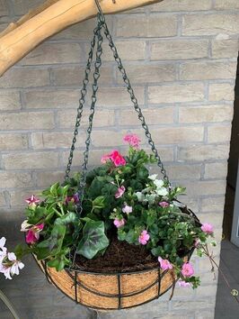 Hangingbasket lentebloeiers