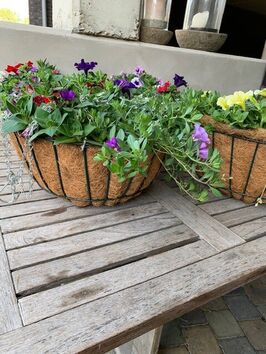 Hangingbasket lentebloeiers
