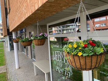 Hangingbasket lentebloeiers