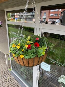 Hangingbasket lentebloeiers
