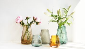 Rozenmix in 't groen