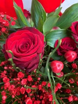 Valentijns Red Lady
