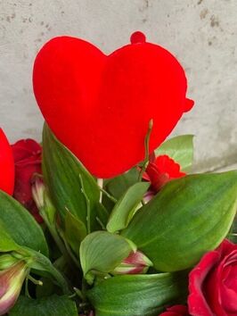 Valentijns Red Lady