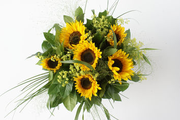 Zonnebloemen in ' t groen