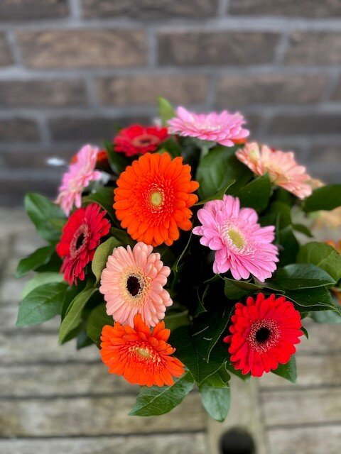 Germini boeket NIEUW