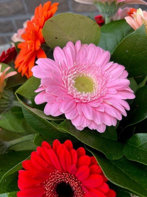 Germini boeket NIEUW