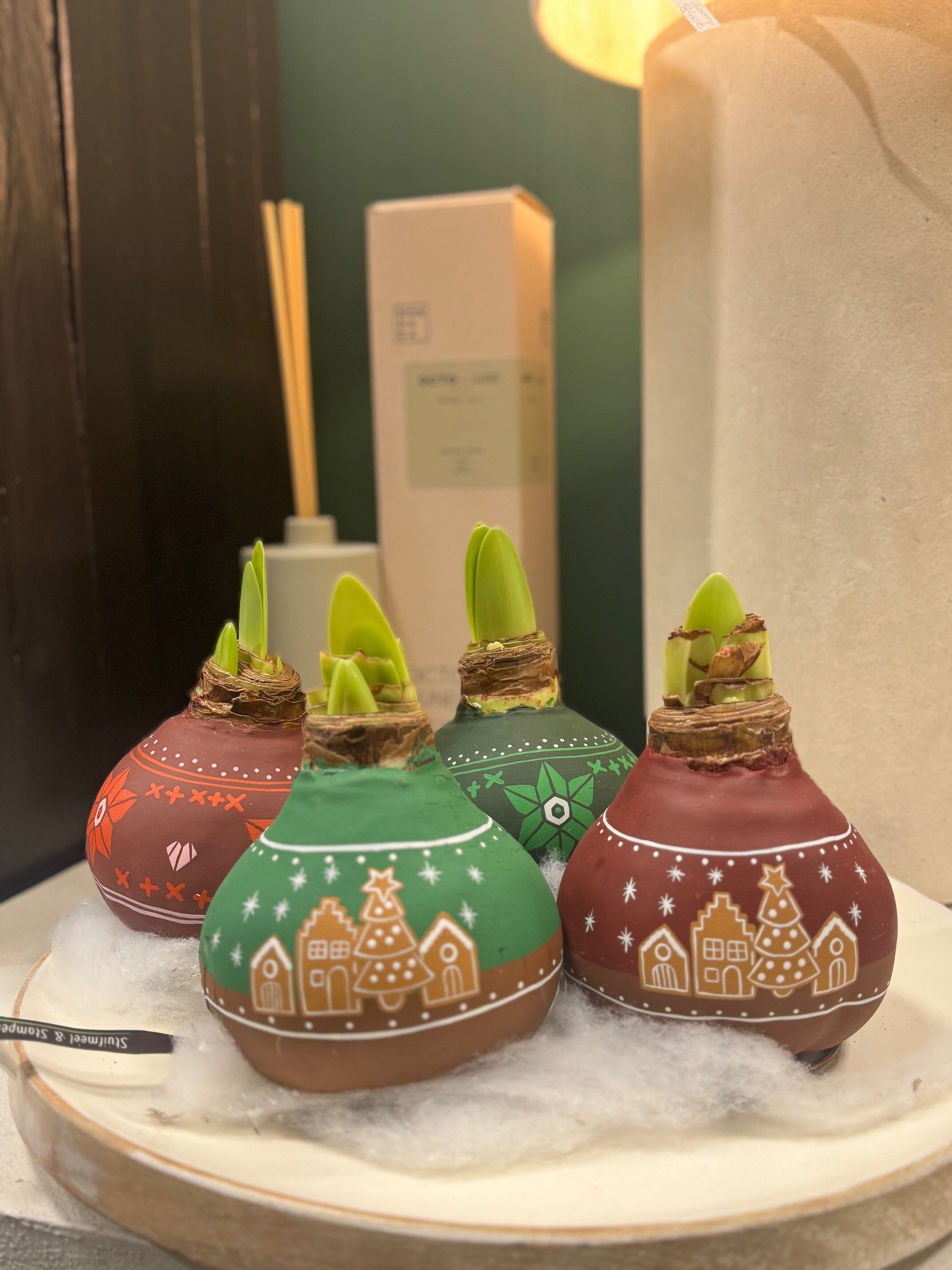 Handgeschilderde Amaryllis EXCLUSIEF BIJ S&S