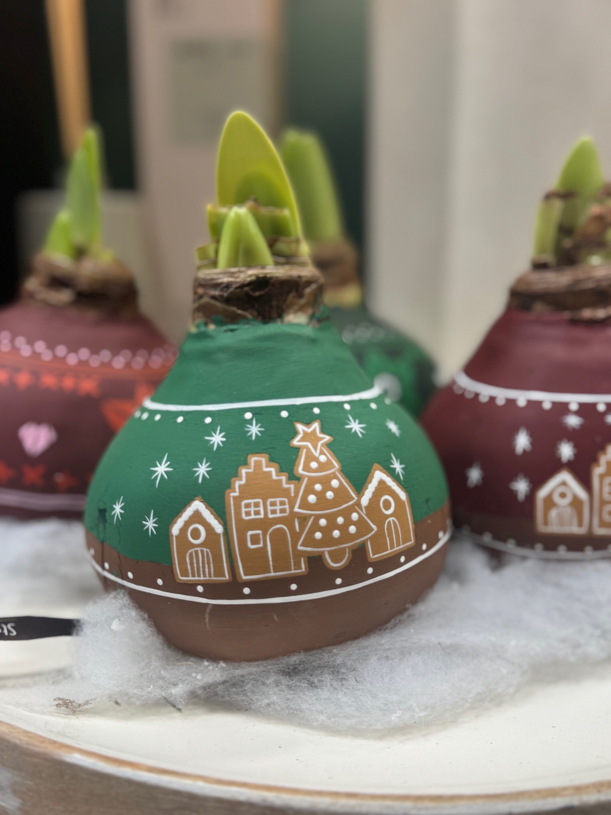 Handgeschilderde Amaryllis EXCLUSIEF BIJ S&S