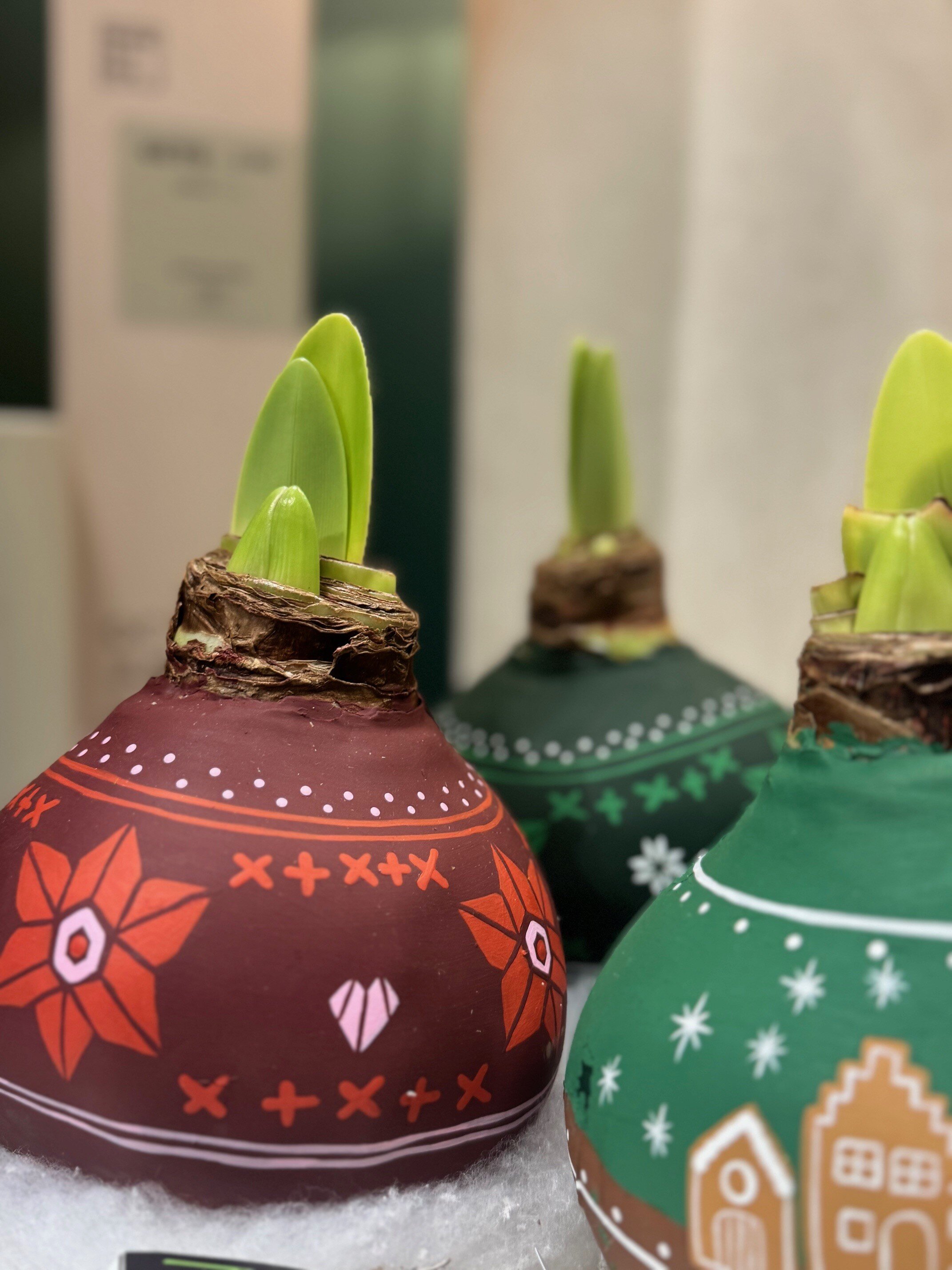 Handgeschilderde Amaryllis EXCLUSIEF BIJ S&S