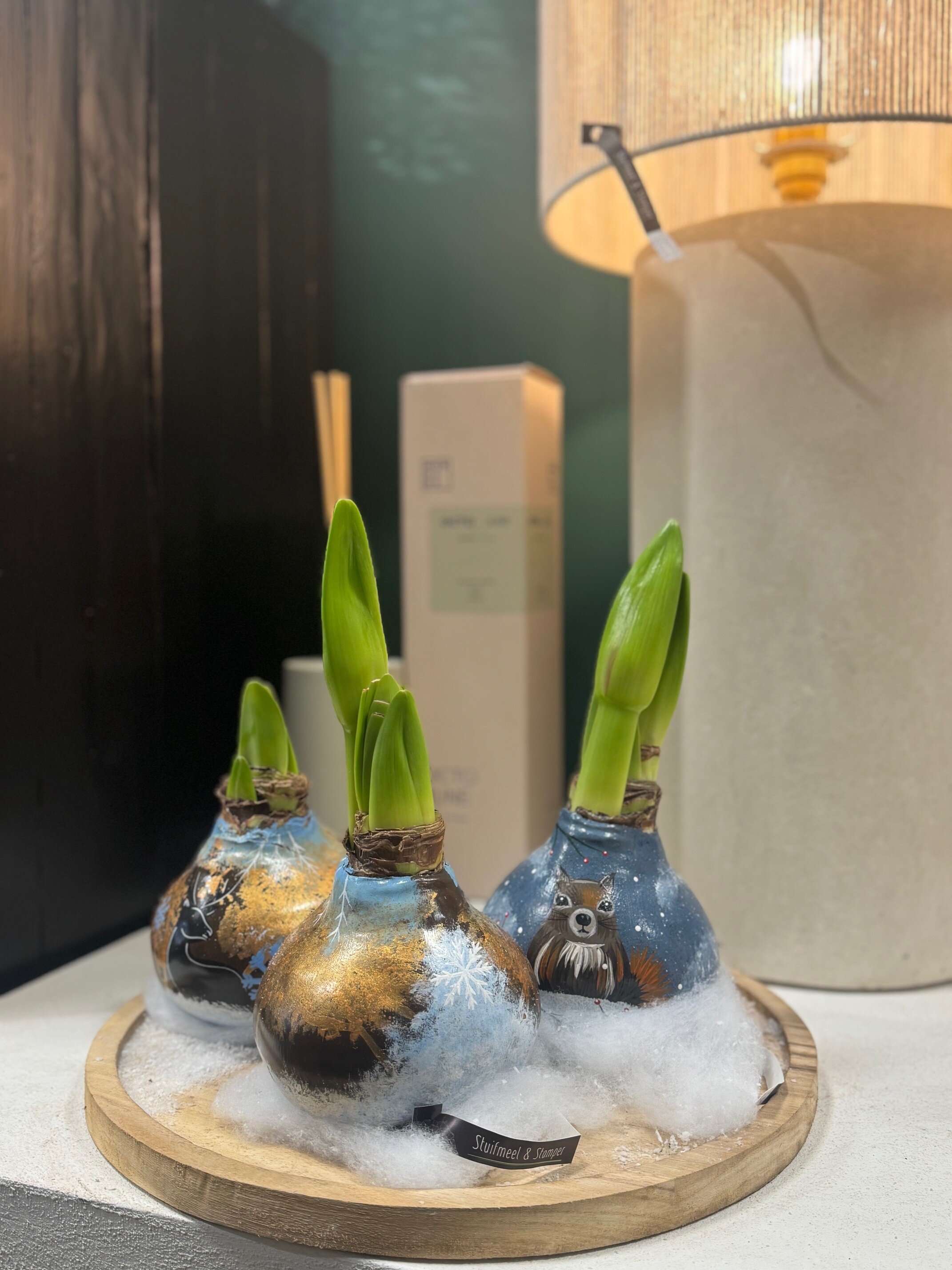 Handgeschilderde Amaryllis EXCLUSIEF BIJ S&S