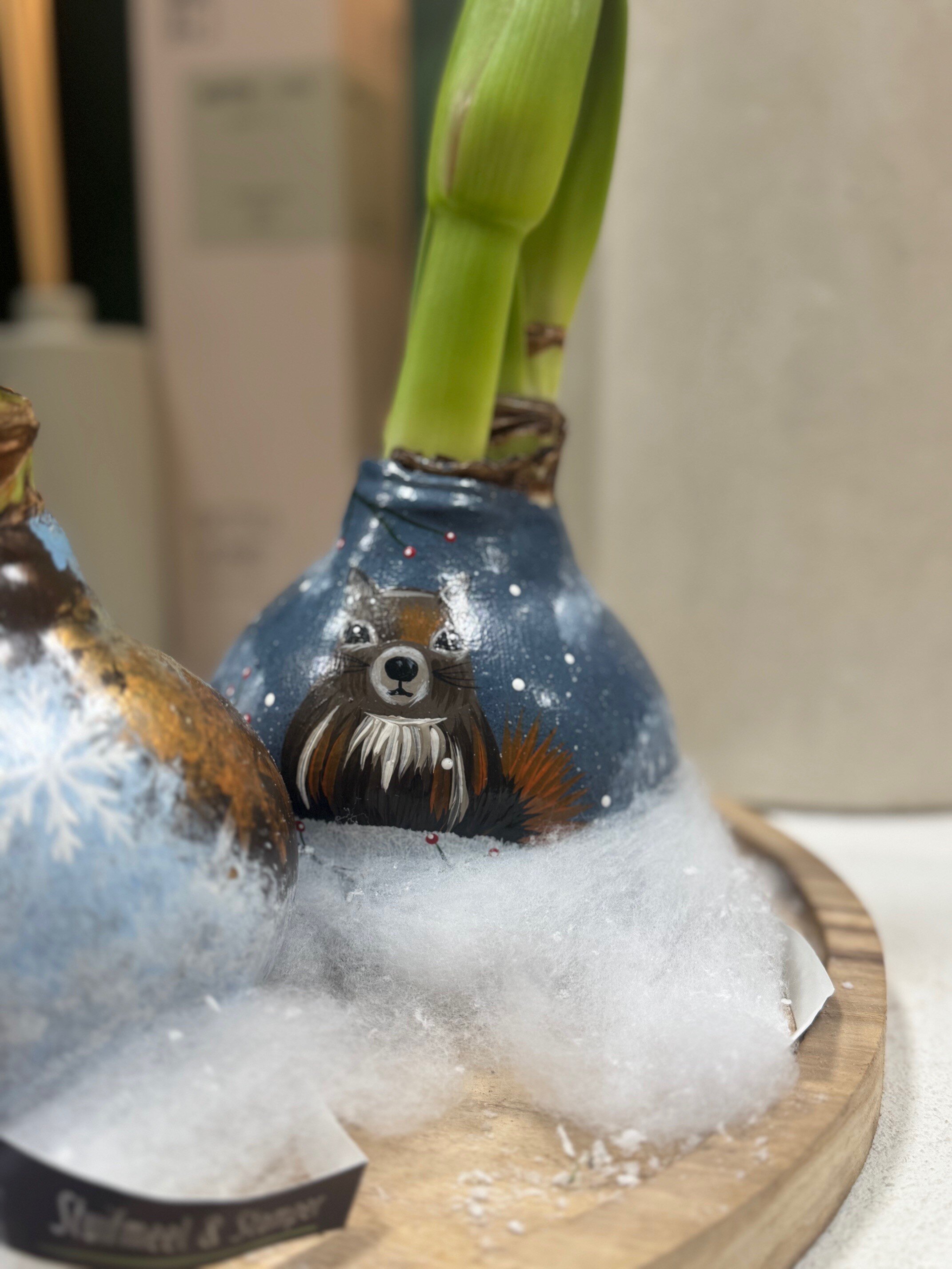 Handgeschilderde Amaryllis EXCLUSIEF BIJ S&S