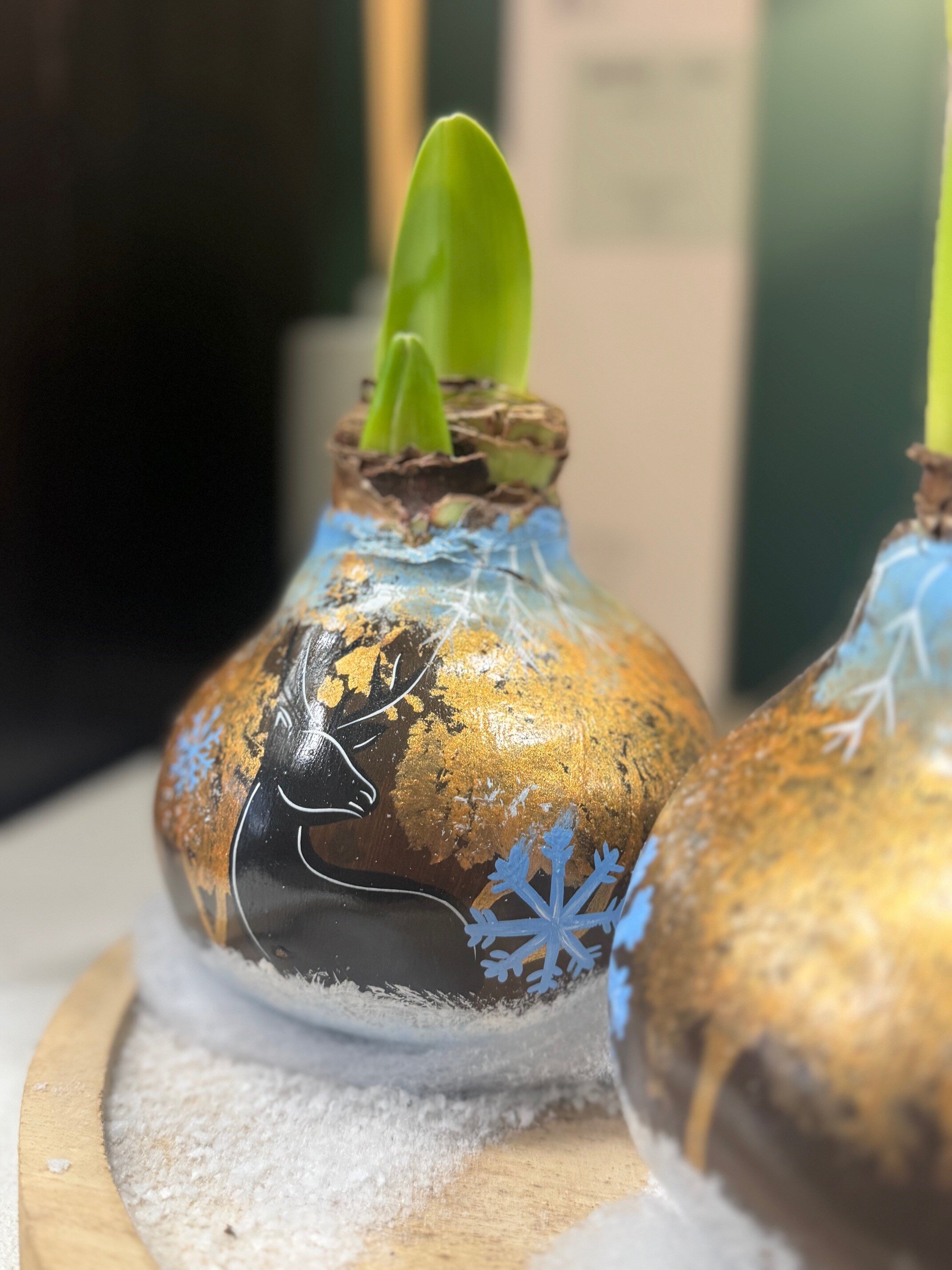 Handgeschilderde Amaryllis EXCLUSIEF BIJ S&S