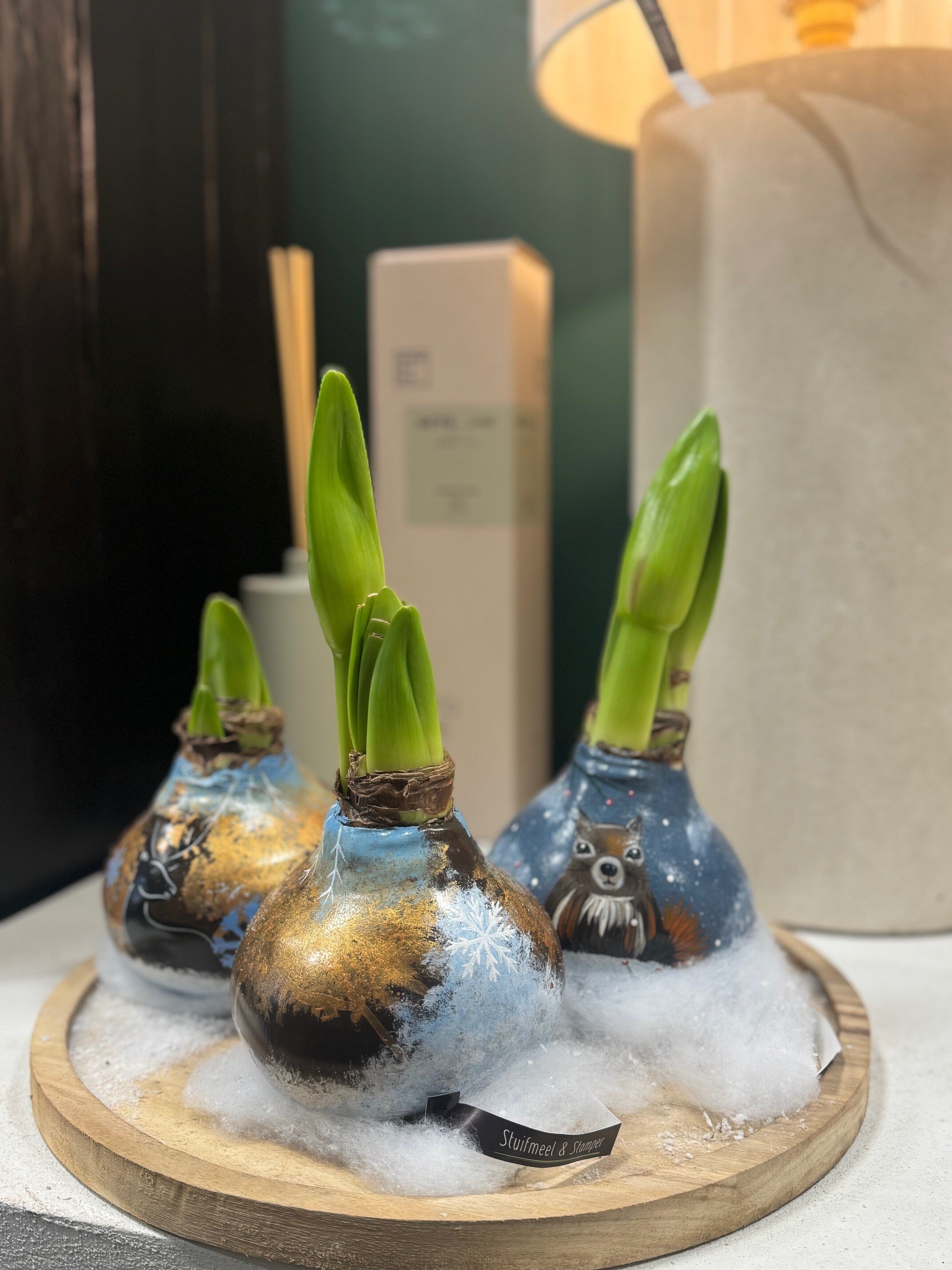 Handgeschilderde Amaryllis EXCLUSIEF BIJ S&S