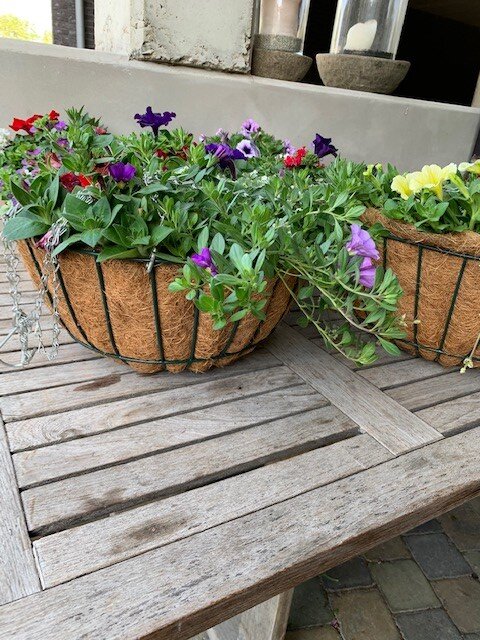 Hangingbasket lentebloeiers
