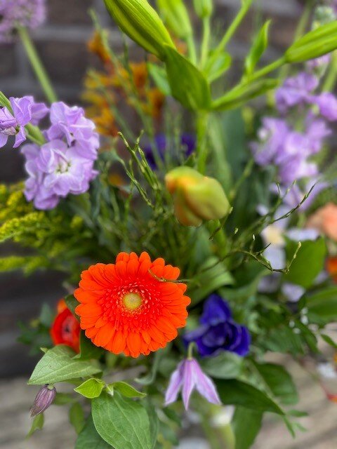 Lente Veldboeket NIEUW