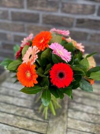 Germini boeket NIEUW