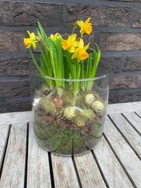 Glazenvaas t&ecirc;te a t&ecirc;te narcis