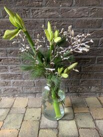 Witte Amarylissen in vaas