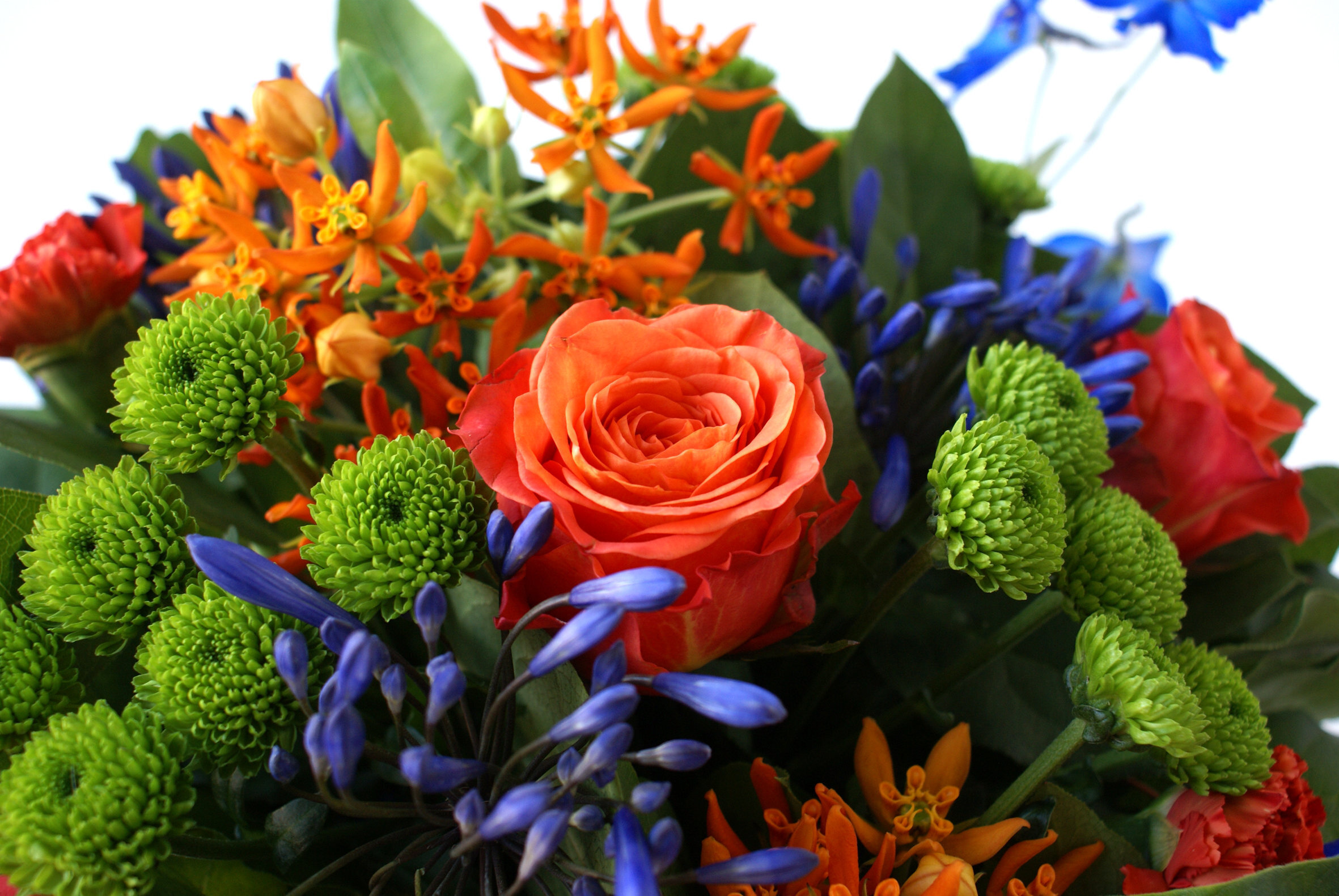 Speciaal verzoek bloemen voor Alex Van de Meulebroecke 25/10/2025