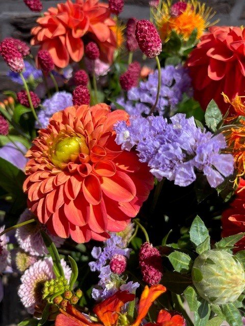 Speels gemengd SEIZOENSboeket met Dahlia's bontemengeling