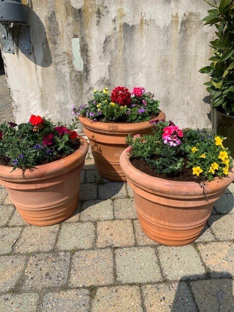 Terracotta pot gevuld met 1 jarigen-mix