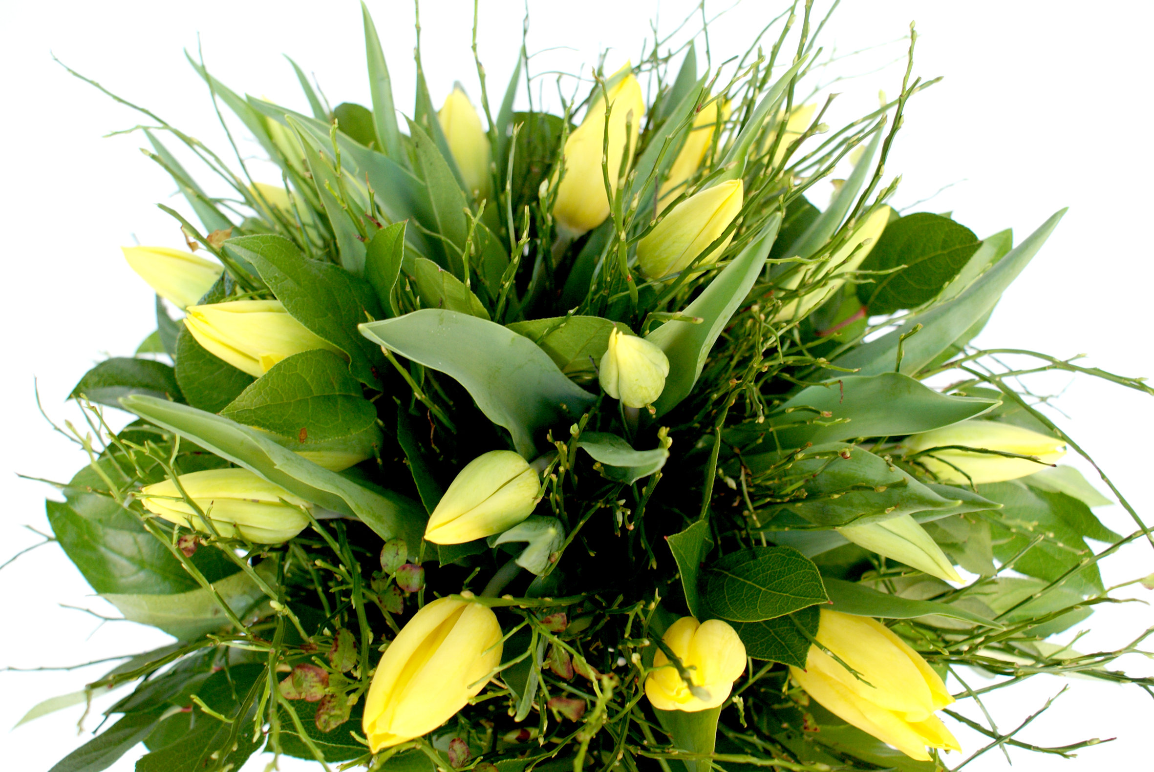 Tulpenboeket